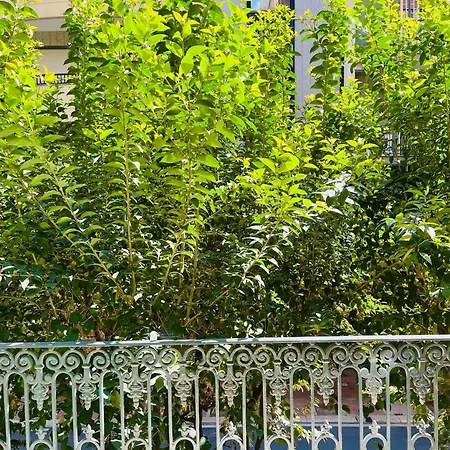 아파트 Suite169 Black 바리