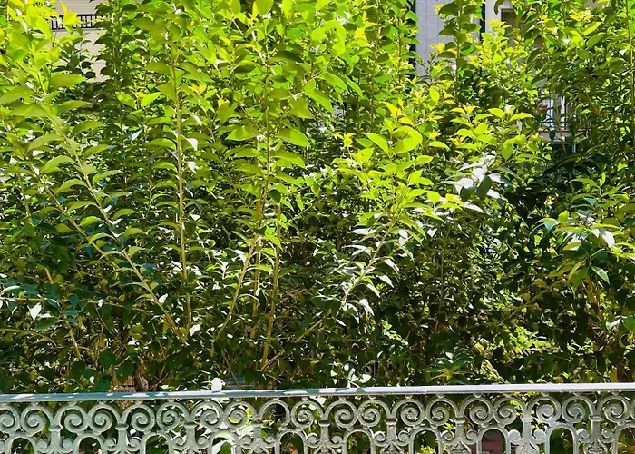 Apartment Suite169 Black Bari